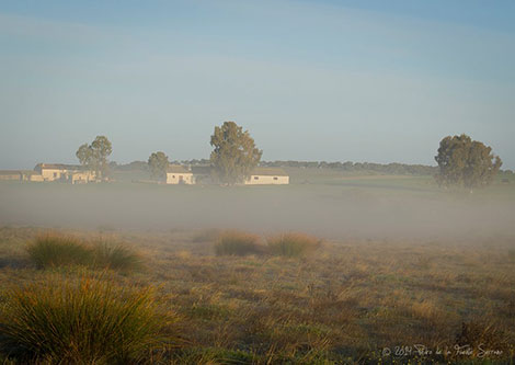 niebla1b